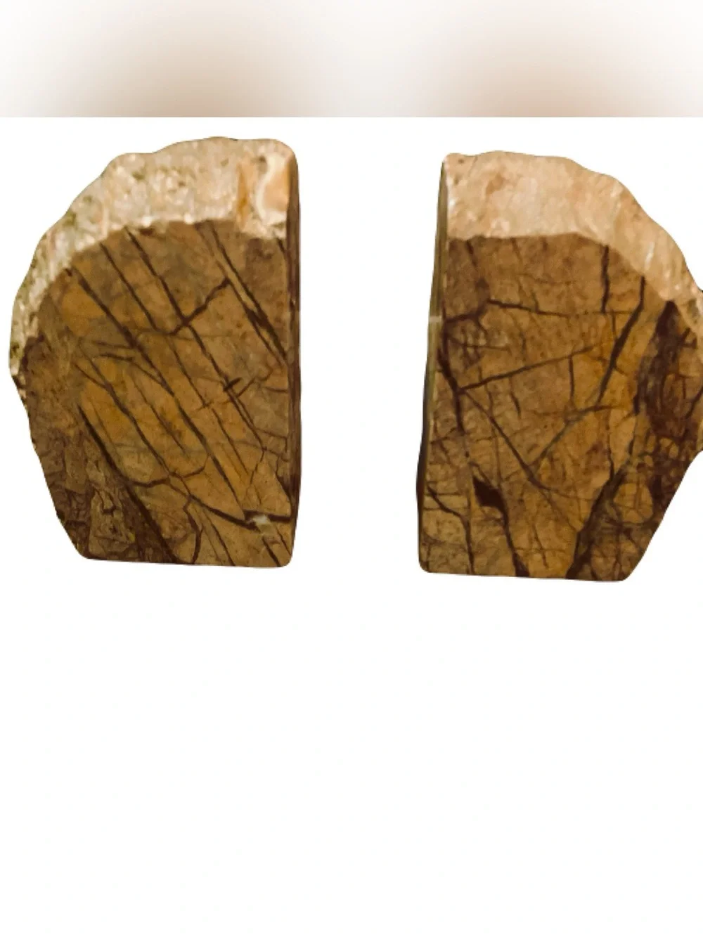 Vintage West Elm Petrified Wood Bookends